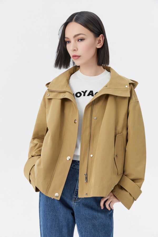 #color_Light Khaki