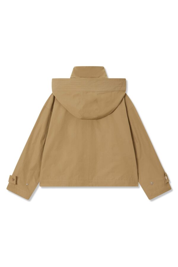#color_Light Khaki