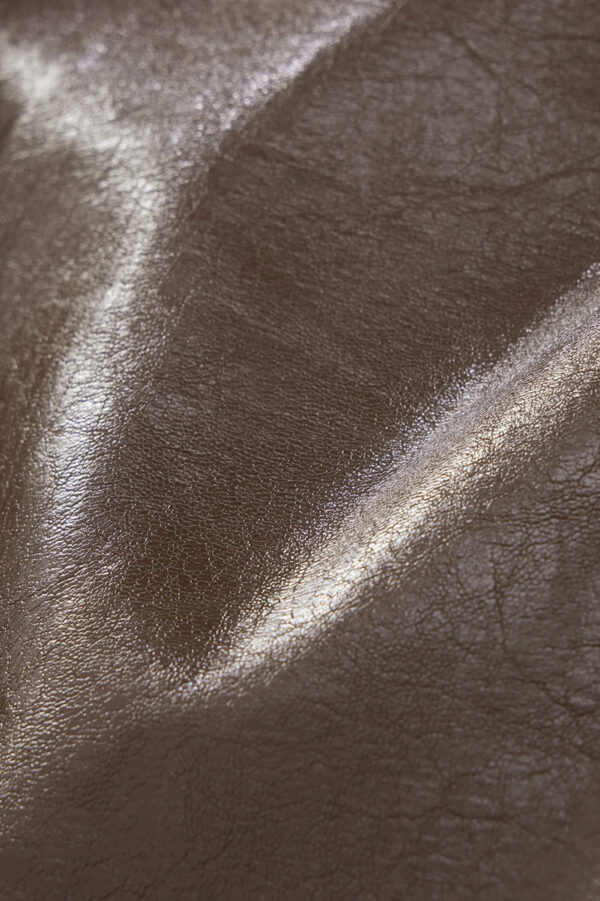 #color_Brown