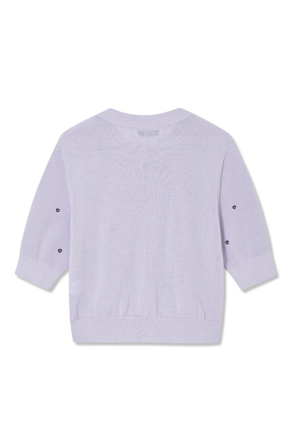 #color_Light Purple