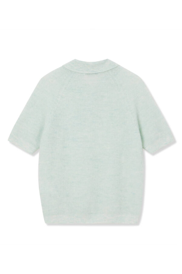 #color_Pale Green
